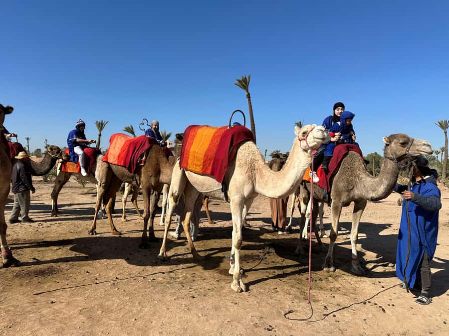 Marrakech:quad excursion at Jbilet desert with Moroccan tea - Moroccan Tea Break in the Middle of the Jbilet Desert