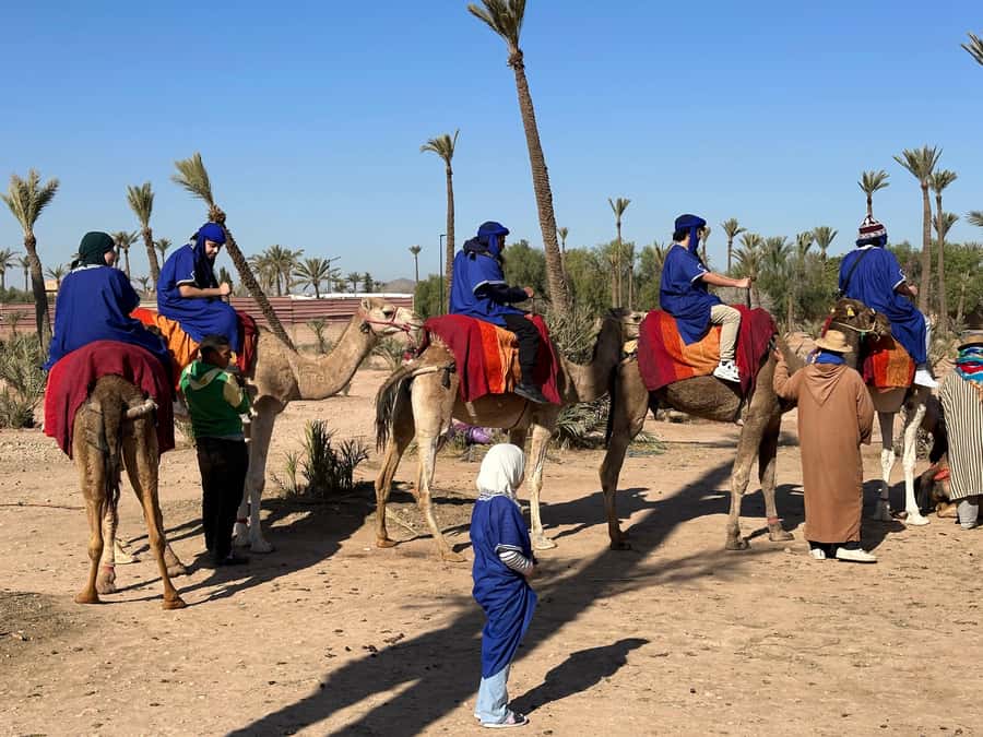 Marrakech:quad excursion at Jbilet desert with Moroccan tea - Languages, Guides, and the Human Side of the Day