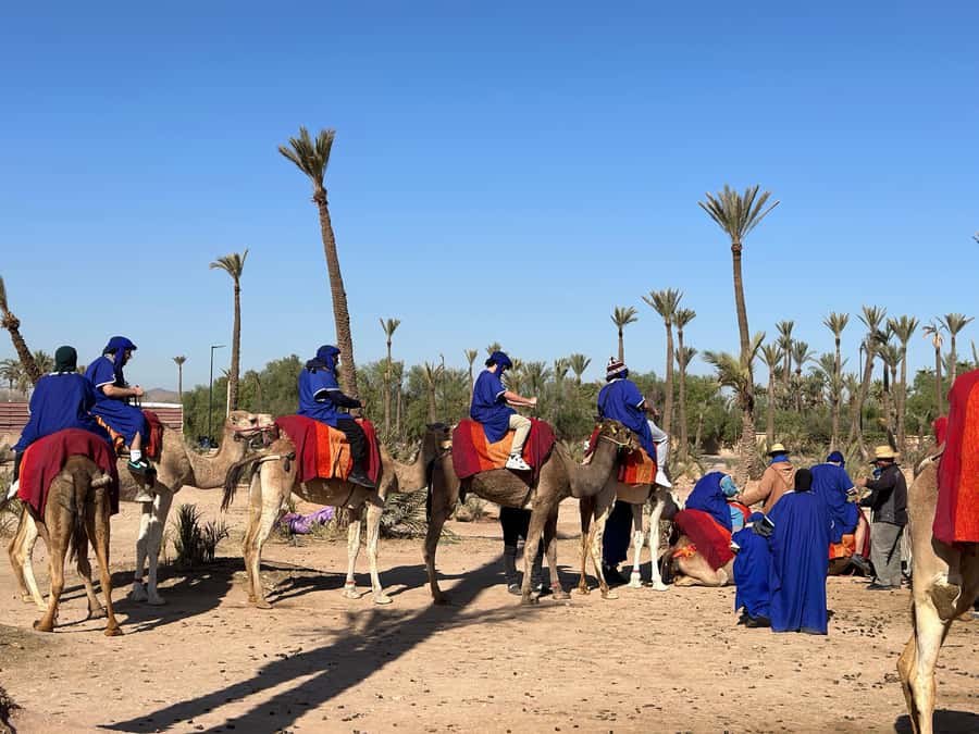 Marrakech:quad excursion at Jbilet desert with Moroccan tea - Who This Marrakech Quad Excursion Fits (and Who Should Skip It)