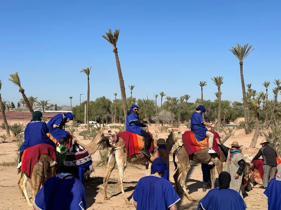 Marrakech:quad excursion at Jbilet desert with Moroccan tea - A Few Smart Tips Before You Book