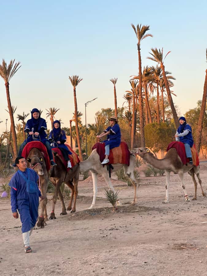 Marrakech:quad excursion at Jbilet desert with Moroccan tea - Should You Book the Jbilet Quad Excursion with Moroccan Tea?
