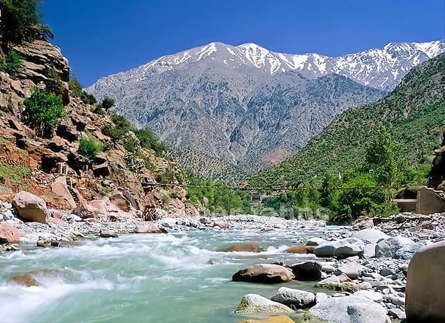 Marrakech's Atlas Adventures Ourika valley & Savory Lunch - Key moments you’ll remember