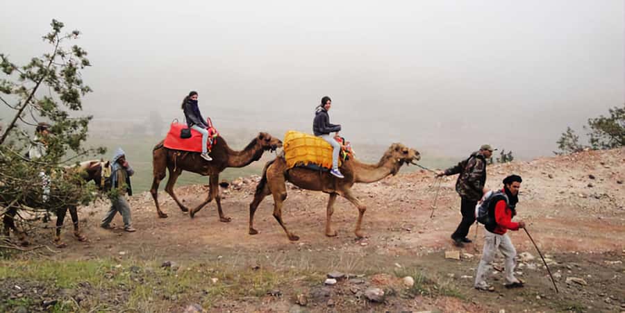 Marrakech's Atlas Adventures Ourika valley & Savory Lunch - Should you book this Marrakech day trip?