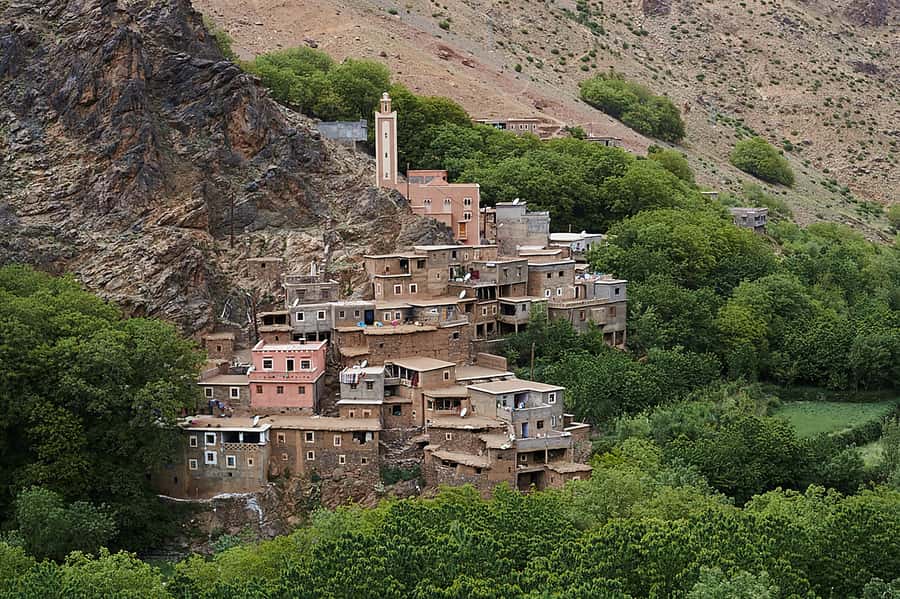 Marrakech's Atlas Adventures Ourika valley & Savory Lunch - How the 8-hour Ourika Valley and Atlas Mountains day actually flows