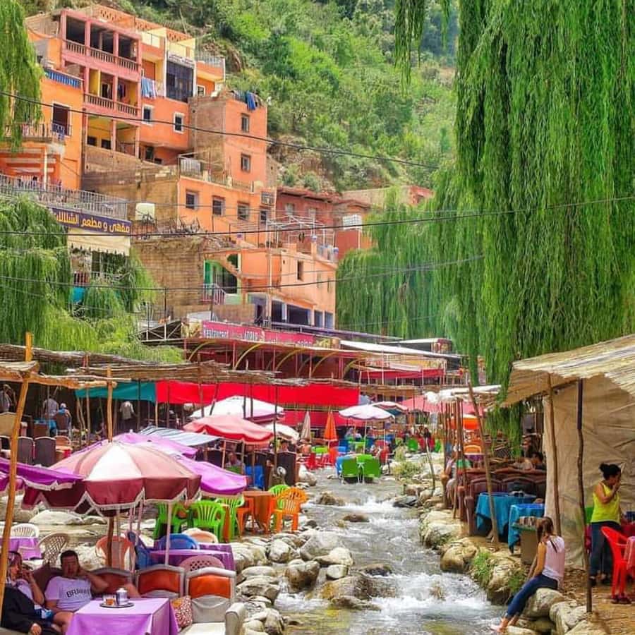 Marrakech's Atlas Adventures Ourika valley & Savory Lunch - Argan oil co-ops for women: what you’ll see and how to shop without stress