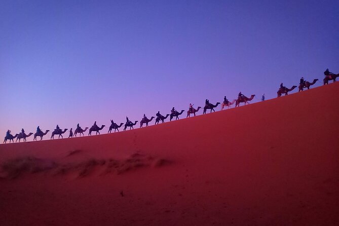 Marrakesh 3 Days Tour to Fez with Overnight Desert Camping - Roses Valley to Dades Gorges: The Long Road Part (That You Can Still Enjoy)