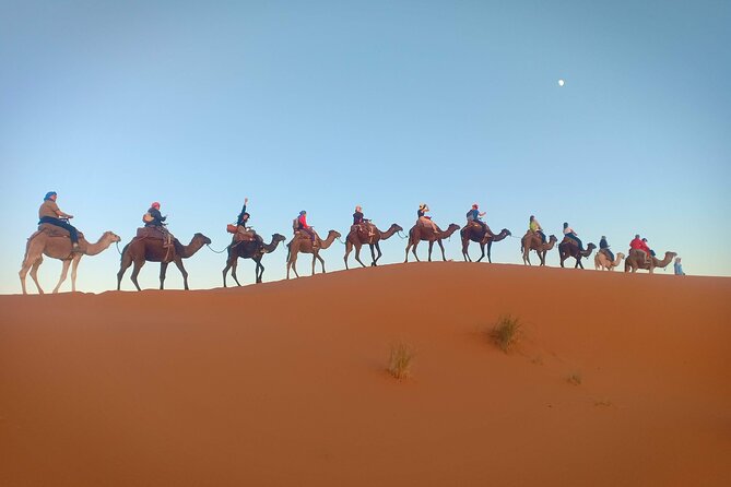 Marrakesh 3 Days Tour to Fez with Overnight Desert Camping - Todra Gorge with a Local Guide: A Small Walk That Teaches You How to See