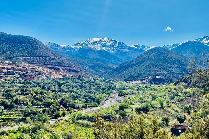 Marrakesh: Agafay Desert and Atlas Mountains & Waterfalls Tour - The Agafay Desert: why the rocky terrain works on a day trip