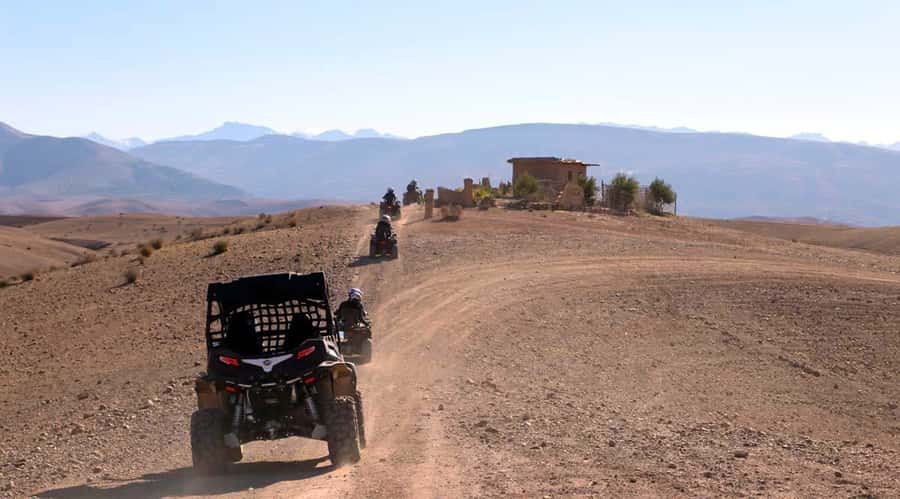 Marrakesh: Agafay Desert Quad & Camel Tour with Dinner - Key things I think you’ll care about