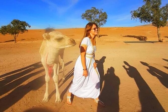 Marrakesh: Agafay Desert , sunset camel ride,meal and show - Agafay stone desert sunset: camel ride and campfire show