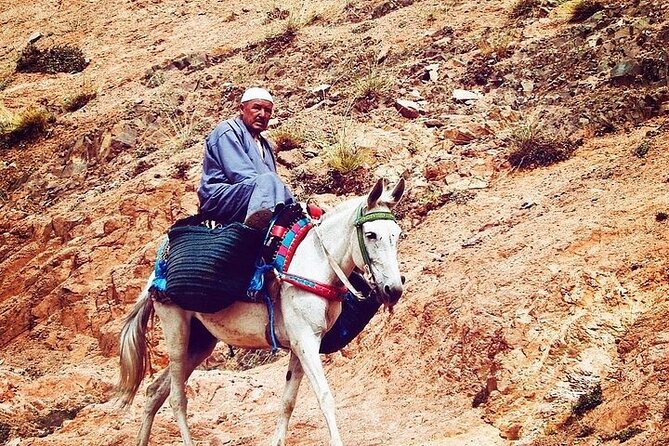 Marrakesh: Atlas Mountains Berber Villages & Waterfalls Tour - First impressions: a low-stress way out of Marrakech