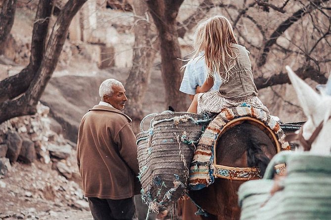 Marrakesh: Atlas Mountains Ourika Valley waterfall & Guide - The 7-hour rhythm: pickup out of Marrakech, then valleys and waterfalls
