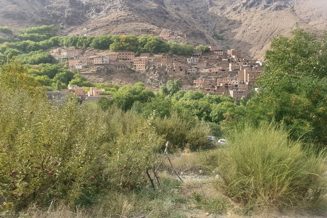 Marrakesh: Atlas Mountains Ourika Valley waterfall & Guide - Ourika riverfront dinner and the return toward Marrakech Medina