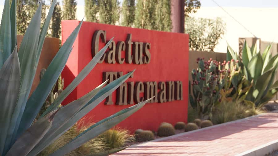 Marrakesh: Cactus Thiemann Entry Ticket - Price and value: is $14 a good deal?