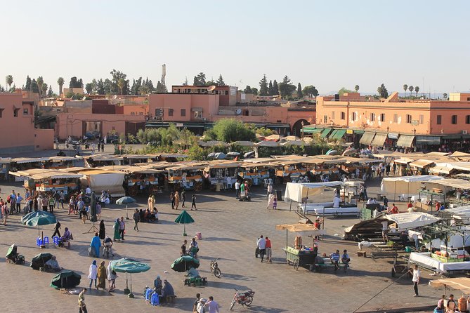 Marrakesh city tour with private driver - Stop 5: Jardin Majorelle and the Berber Art Museum Break