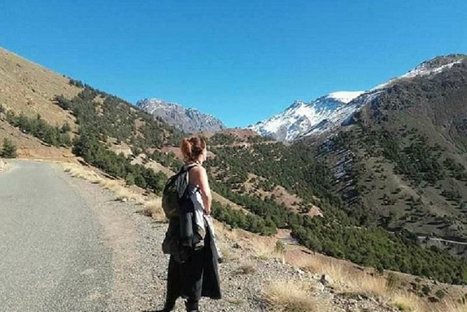Marrakesh day tour to ourika valley and Atlas Mountains - What you pay $64.79 for (and what you’ll need extra)