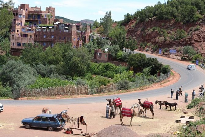 Marrakesh day tour to ourika valley and Atlas Mountains - Setti Fatma waterfalls: the wow moment, with an easy lunch payoff