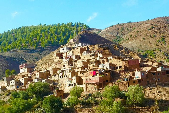 Marrakesh day tour to ourika valley and Atlas Mountains - Pickup comfort: how the logistics affect your mood