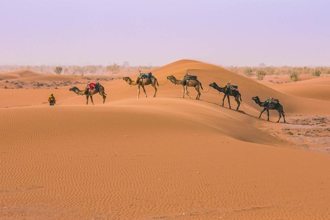 Marrakesh desert tour 3 days - Day 3 Sunrise Return: Dune Colors, Camel or 4WD, and the Road Back