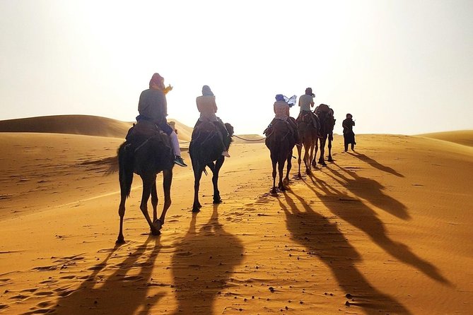 Marrakesh desert tour 3 days - Comfort, Food, and Timing: How to Make This Tour Feel Easy