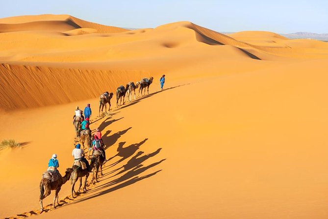Marrakesh desert tour 3 days - Who This Tour Suits Best (and Who Might Want a Different Option)