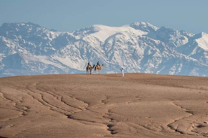 Marrakesh: High Atlas, Agafay desert and Waterfalls Tour - High Atlas and Agafay in one day: what this 7.5-hour tour really feels like