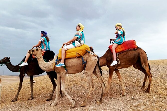 Marrakesh: High Atlas, Agafay desert and Waterfalls Tour - Price and value: why around $68.53 can work well here
