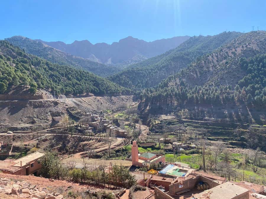 Marrakesh: Ourika Valley Tour & Secret Berber Lunch + Guide - Price and value: is $21 fair for a full Atlas day?
