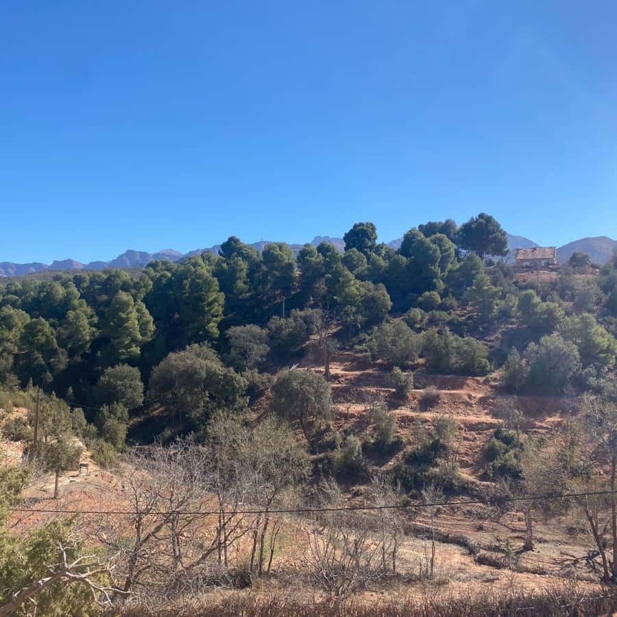 Marrakesh: Ourika Valley Tour & Secret Berber Lunch + Guide - Ourika Valley time by the river: when the day turns slow