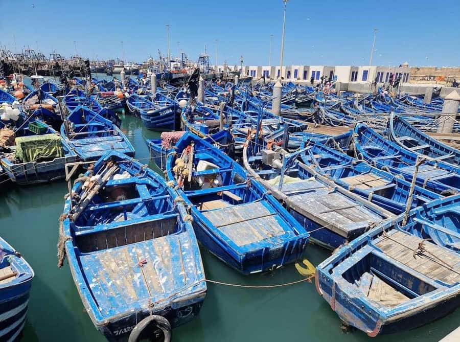 Marrakesh to Essaouira: Small-Group Day Trip & Cooperatives - Key things you’ll notice on this trip