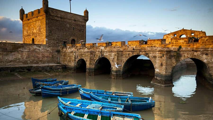Marrakesh to Essaouira: Small-Group Day Trip & Cooperatives - Price and logistics: what $11 actually buys you