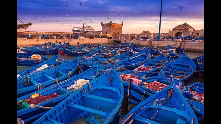 Marrakesh to Essaouira: Small-Group Day Trip & Cooperatives - Essaouira’s medina: blue alleys, easy wandering, real atmosphere