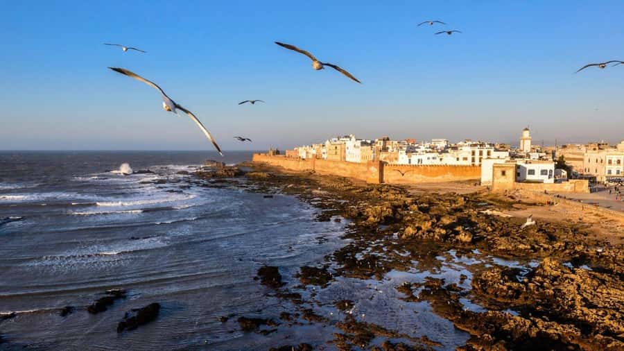 Marrakesh to Essaouira: Small-Group Day Trip & Cooperatives - Sqala, galleries, and the port: where the sea is part of the plan