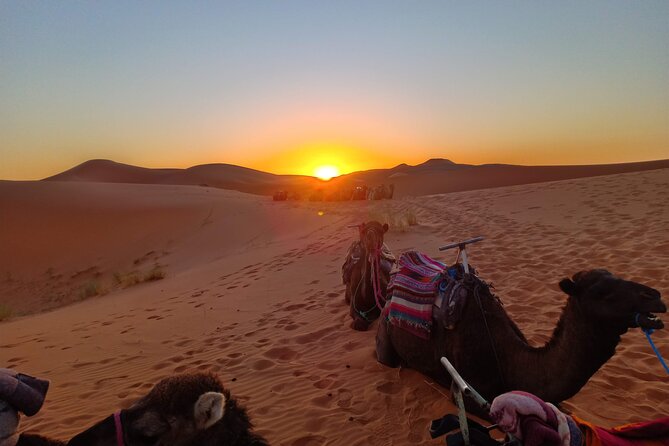 Marrakesh to Fez 3-Day with Overnight merzouga Desert Camping - Desert camp and hotel night: what’s covered (and what’s not)