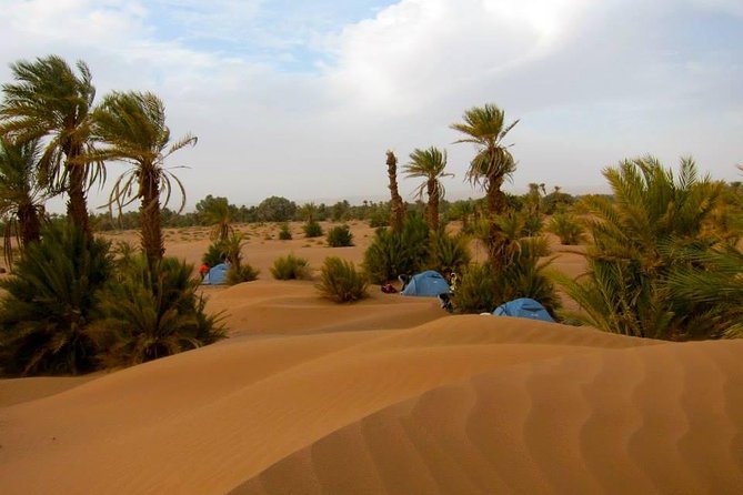 Marrakesh to Fez 3-Days Desert Tour from Marrakesh - Price, included value, and what you still need to budget