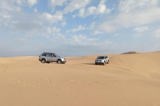 Massa+Mini Sahara and Tiznit silver city by Jeep - Optional Camel Ride in the Small Desert: When It’s Worth It