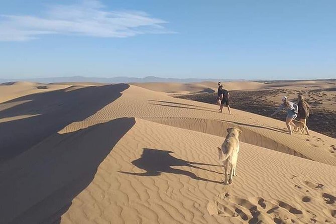 Massa+Mini Sahara and Tiznit silver city by Jeep - Group Size, Guides, and the Pace You Can Expect