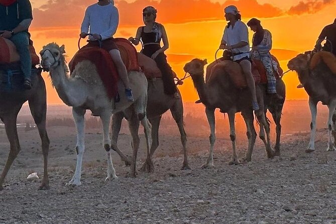 MEDINA of ESSAOUIRa - The music and bonfire show: where the value really shows