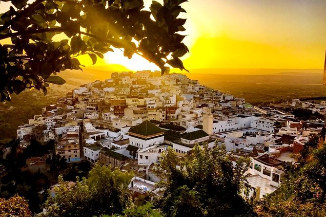 Meknes - Volubilis day trip - Who This Day Trip Is Best For (and Who Might Want Something Else)