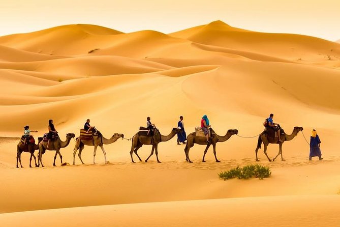 Merzouga 3-Days Desert Tour from Marrakech - Dades Gorges and Boumalne du Dades Riads: Where the Night Feels Earned