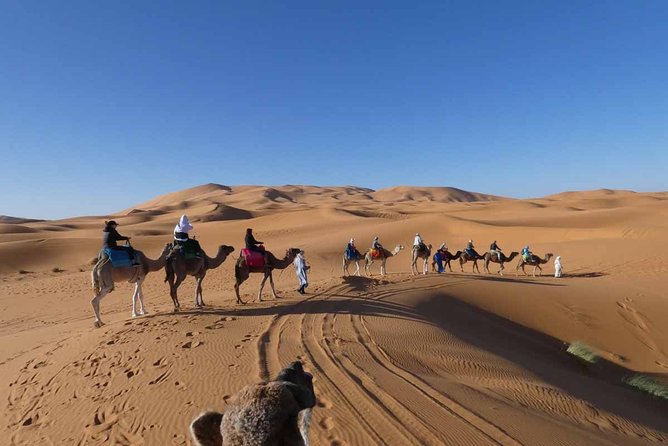 Merzouga 3-Days Desert Tour from Marrakech - Drive Back to Marrakech via Nkob and Agdz: Old Routes, New Views