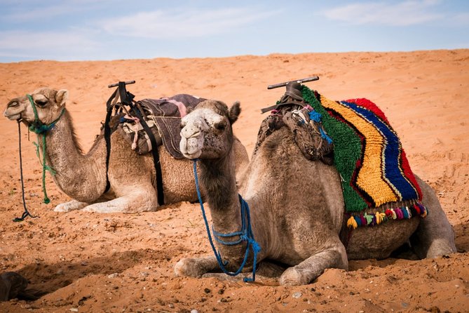 Merzouga 3-Days Desert Tour from Marrakech - Ouarzazate and Skoura Oasis: Film Studios and Palm-Green Breaks