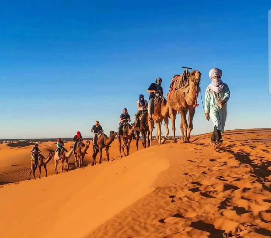 Merzouga : 3 days desert tour with camp stay, camel & food - Ouarzazate, the Door of the Desert, plus Roses Valley stop