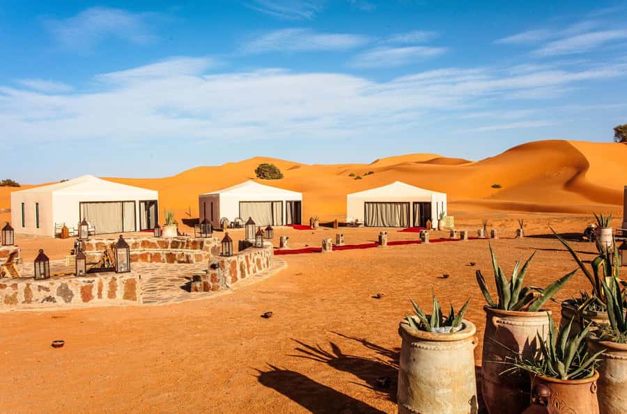 Merzouga : 3 days desert tour with camp stay, camel & food - Camel ride at sunset in Merzouga dunes
