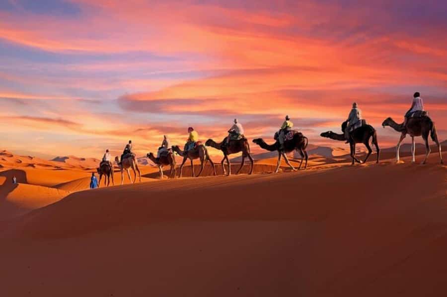 Merzouga : 3 days desert tour with camp stay, camel & food - Camp night in Merzouga: dinner, traditional party, and real stars