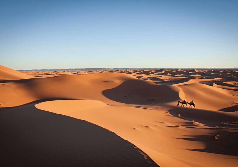 Merzouga : 3 days desert tour with camp stay, camel & food - Dades Gorges guest houses: where the trip “lands”