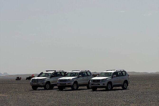 Merzouga 4X4 -Day Trip With Private Local Guide - How the Erg Chebbi 4x4 Experience Really Works