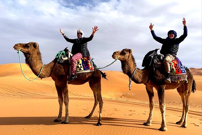Merzouga Camel Ride & Overnight Desert Camps - A 5pm Camel Ride Into Erg Chebbi: Why the Timing Feels Right