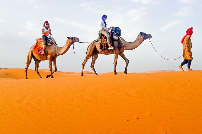 Merzouga Camel Ride & Overnight Desert Camps - Price and Logistics: Does $93 Feel Like Good Value?