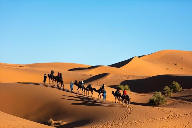 Merzouga Camel Ride & Overnight Desert Camps - Comfort, Cleanliness, and What to Expect at Night